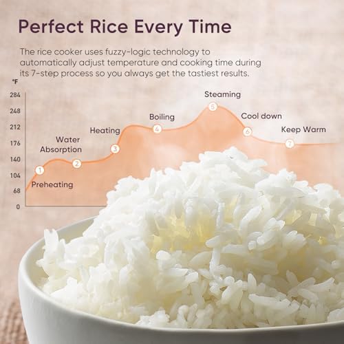 10-Cup Rice Cooker with 24H Ke - Rice Cooker 10 Cup ulasan dan harga